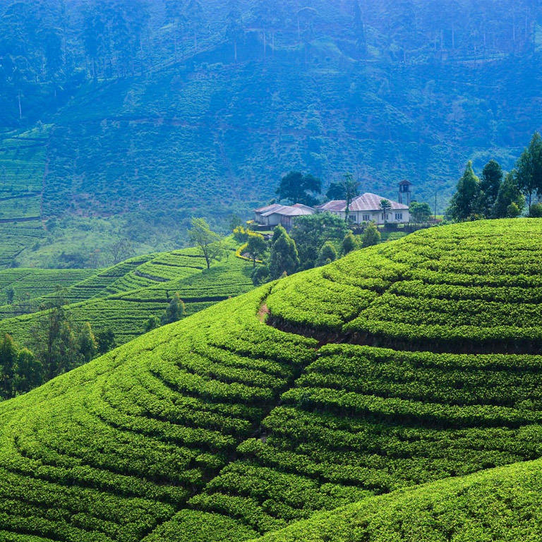 Nuwara Eliya